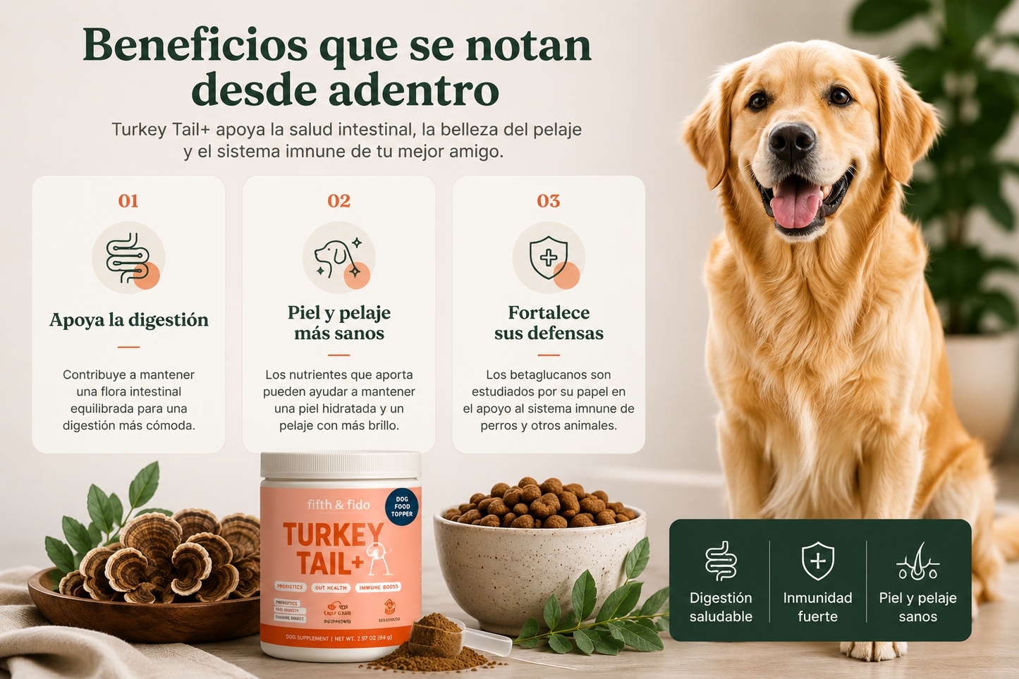 Una tripita feliz empieza por dentro - PROBIOTICO PARA MASCOTAS TURKEY TAIL  🐾 ENVIO GRATIS PAGA AL RECIBIR