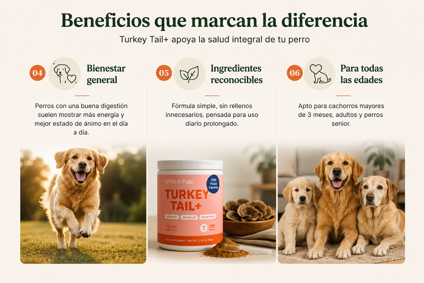 Una tripita feliz empieza por dentro - PROBIOTICO PARA MASCOTAS TURKEY TAIL  🐾 ENVIO GRATIS PAGA AL RECIBIR