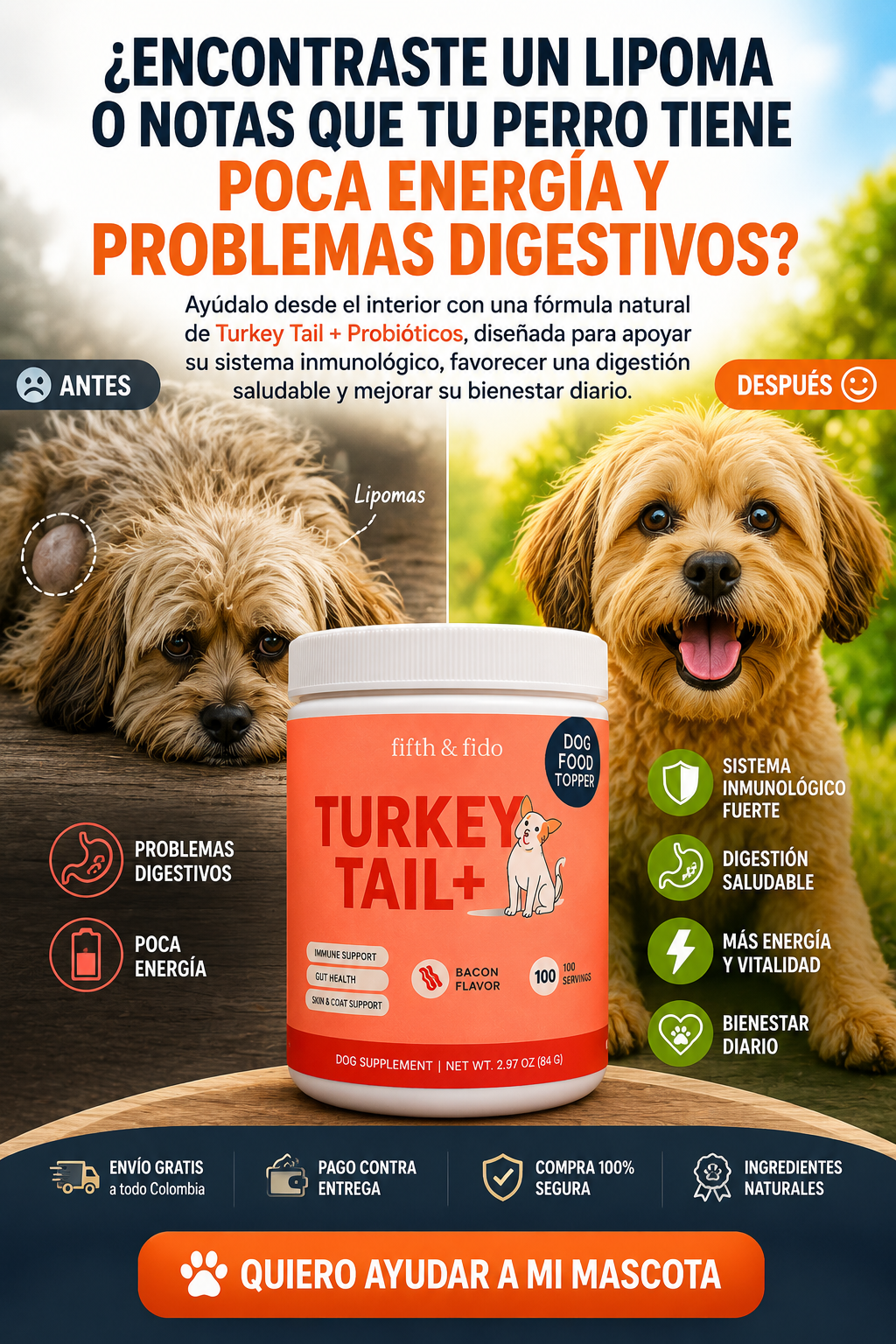 Una tripita feliz empieza por dentro - PROBIOTICO PARA MASCOTAS TURKEY TAIL  🐾 ENVIO GRATIS PAGA AL RECIBIR